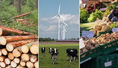 Vorschaubild StoryMap Lebensgrundlage Landwirtschaft mit Fotos Holz, Windkraftwerken und Gemüse
