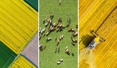 Vorschaubild StoryMaps Landiwrtschaft mit Fotos von Feldern